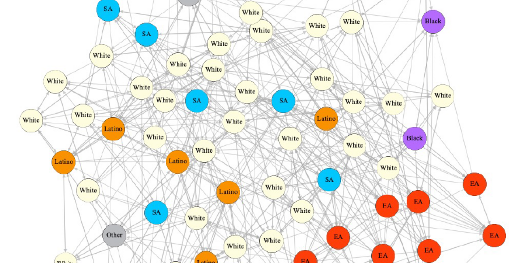 This friendship network of an MBA class section demonstrates East Asians’ high ethnic homophily.