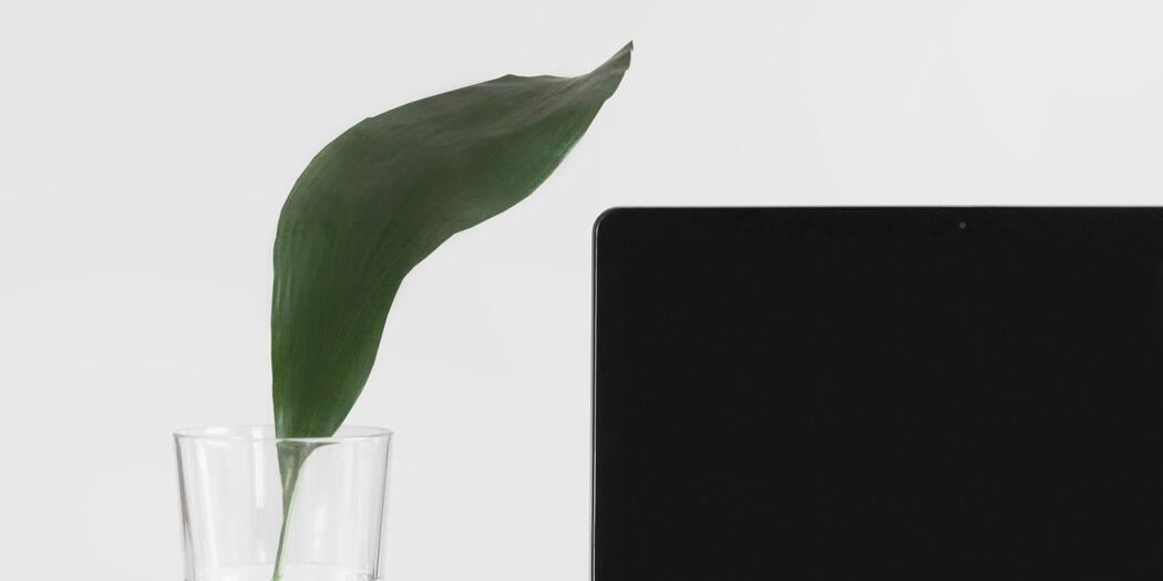 A leaf in a glass half-filled with water, next to a laptop computer