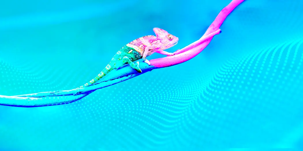 A chameleon changes color against a digital background