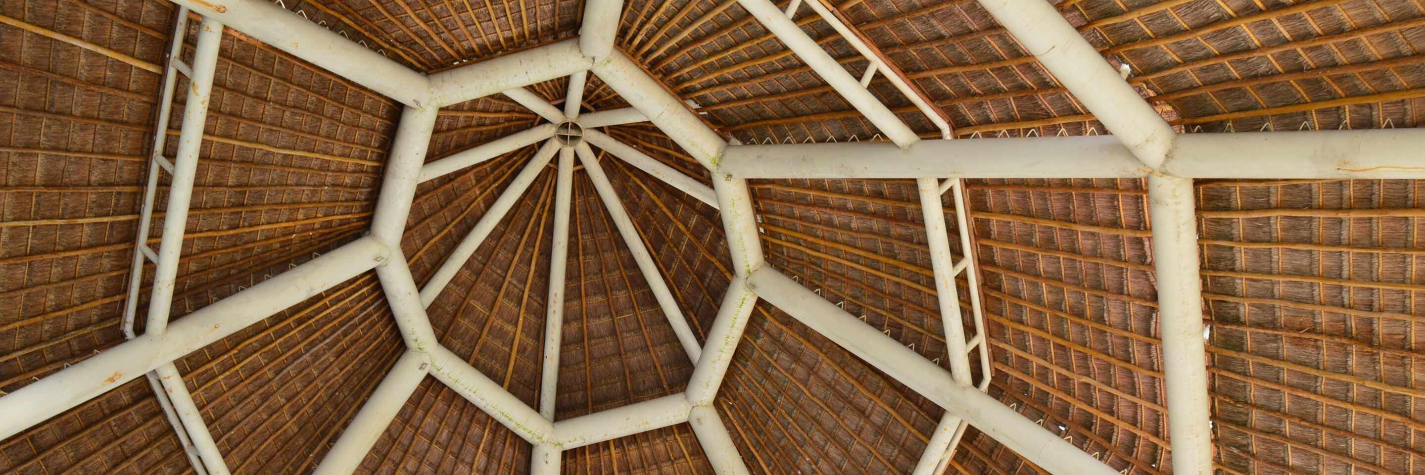 Bamboo Ceilings