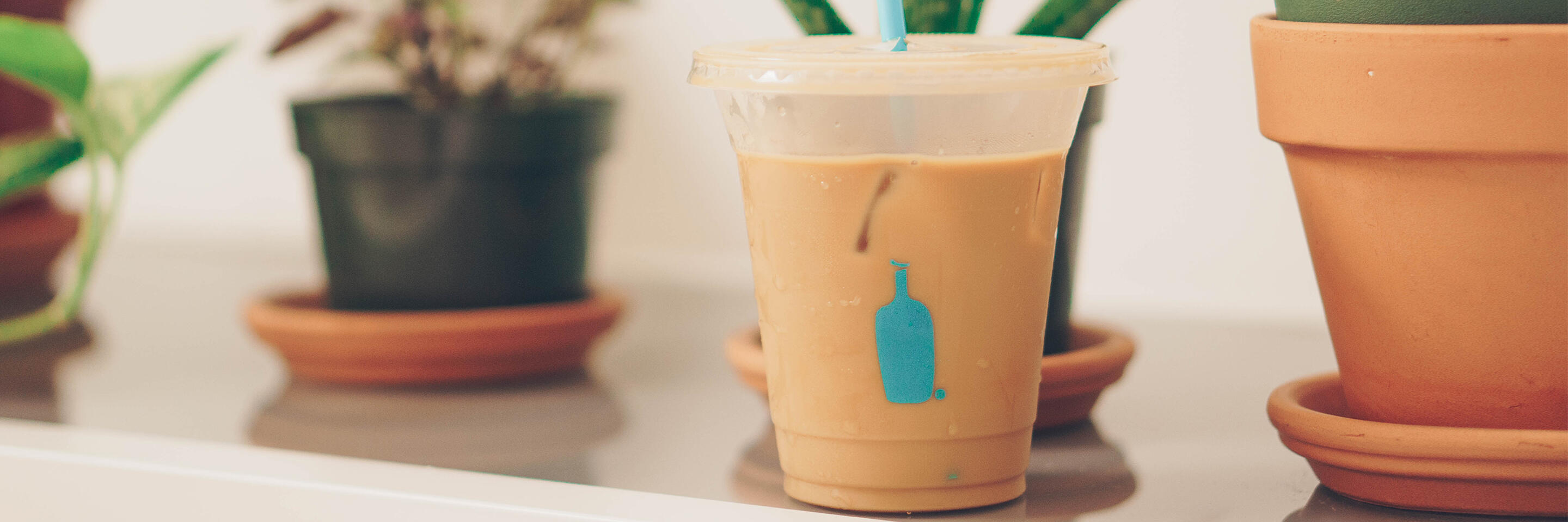 From organic coffee to reusable cups — Blue Bottle Coffee Lab