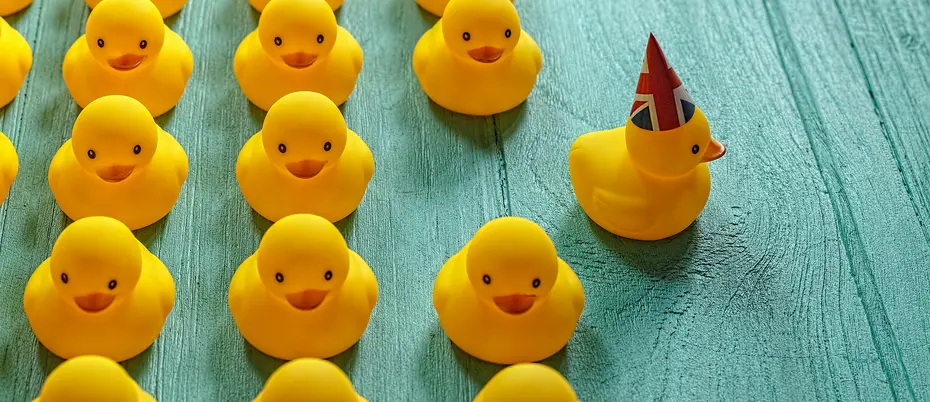 Brexit rubber duck breaks from other ducks