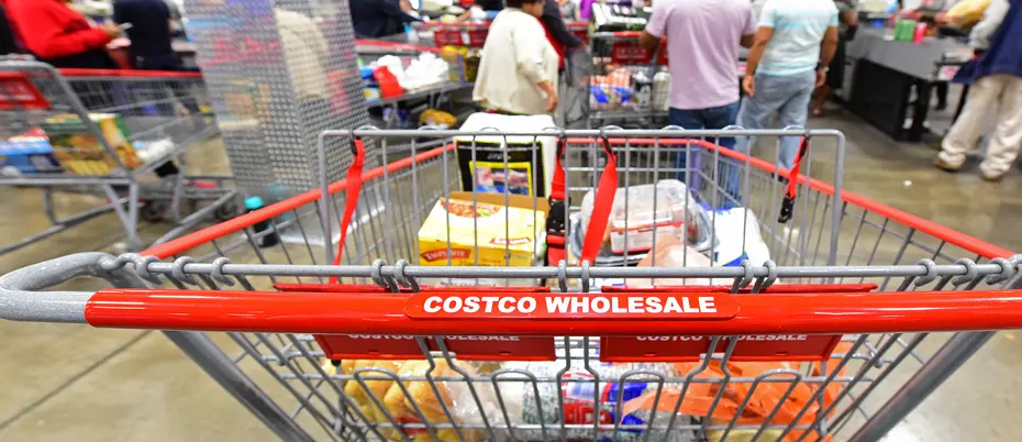 Costco shopping cart