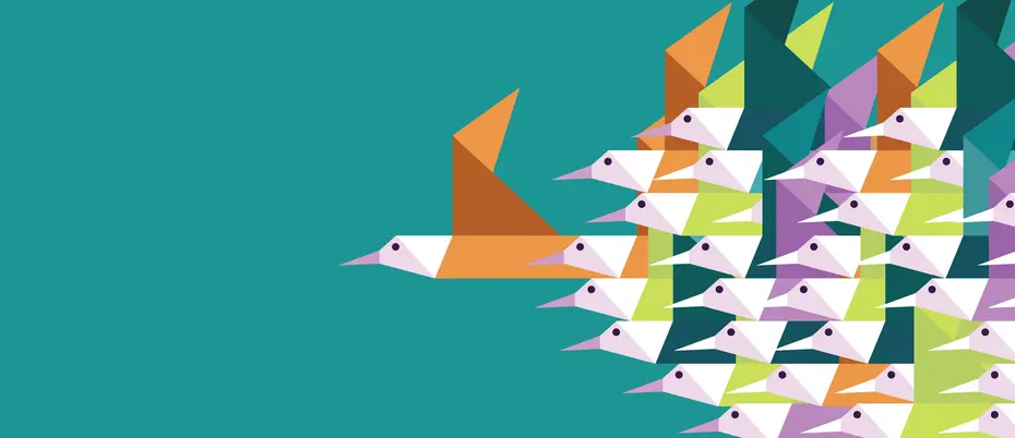 Illustration of flock of birds with one bird pulling ahead 