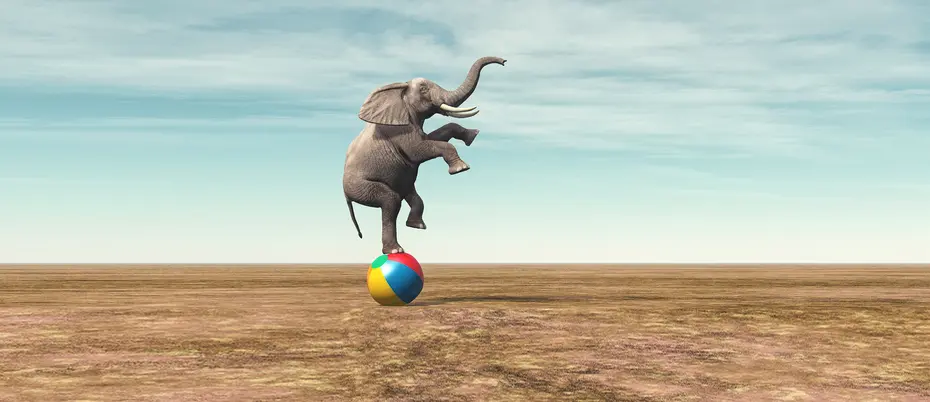 Elephant balancing on a beach ball with trunk in the air