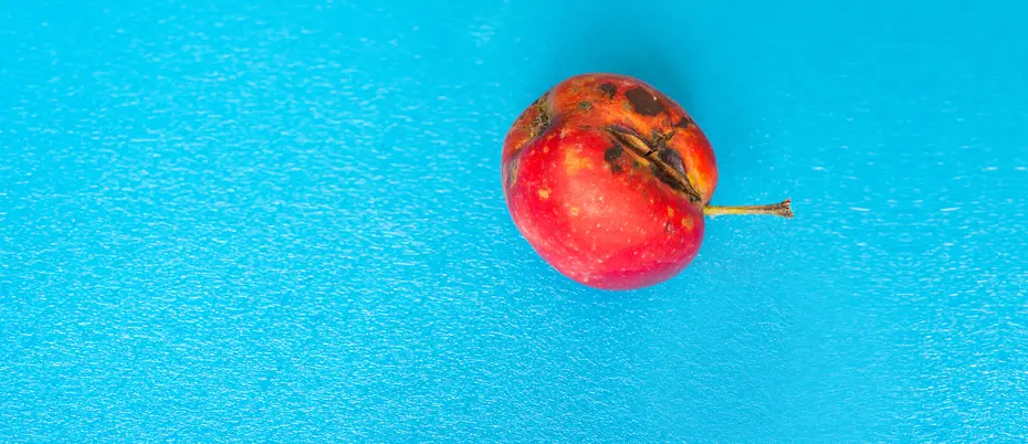 red apple with black spots on a blue background