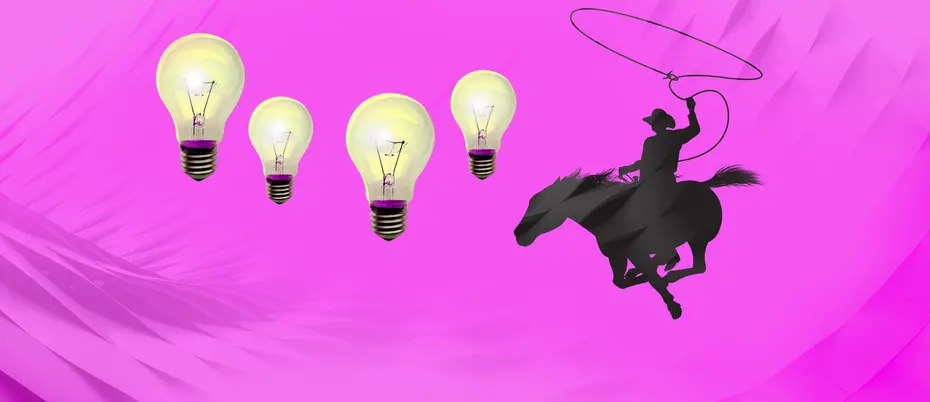 four lightbulbs hang in space next to the profile of a cowboy and lasso against a pink background