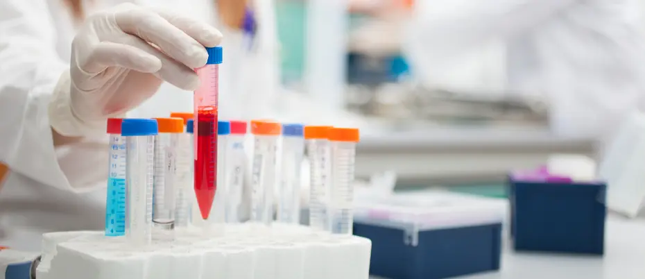 Laboratory Test Tubes