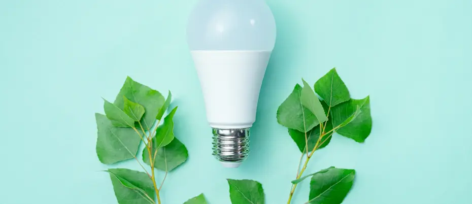 Light Bulb With Green Leaf Branches