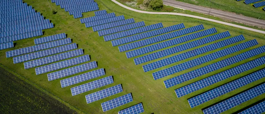 Solar panels appear in a field emphasizing the environmental aftermath of COVID-19. 