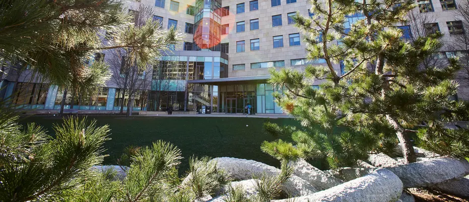 Exterior shot of the Main Street side of MIT Sloan's building E62.