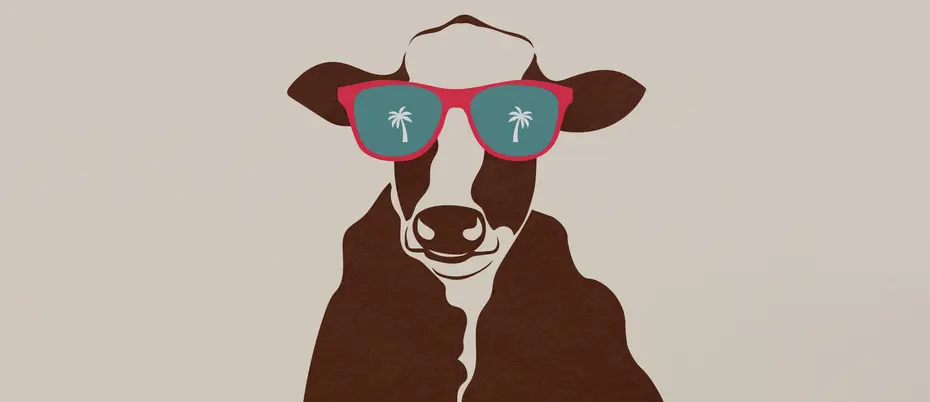 An illustration of a cow wearing sunglasses with palm trees in his lenses