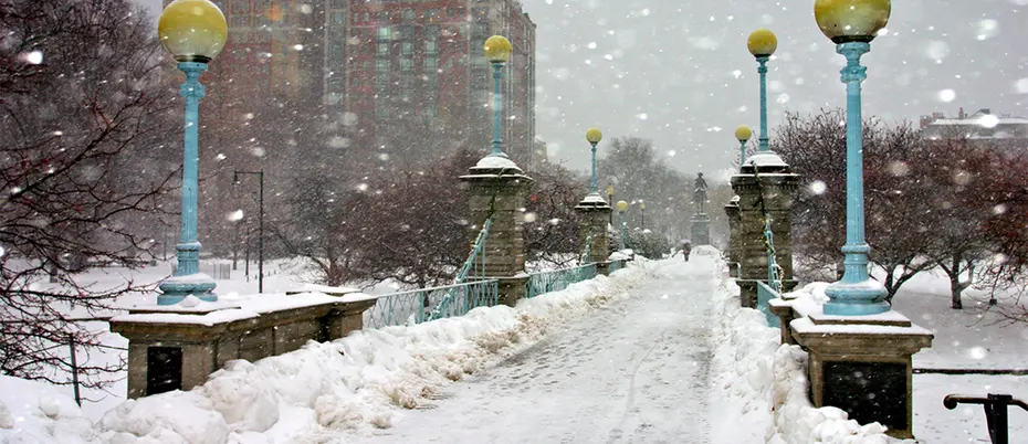 Boston Blizzard