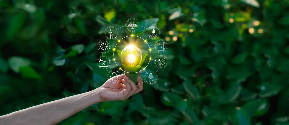 World Energy Case Study