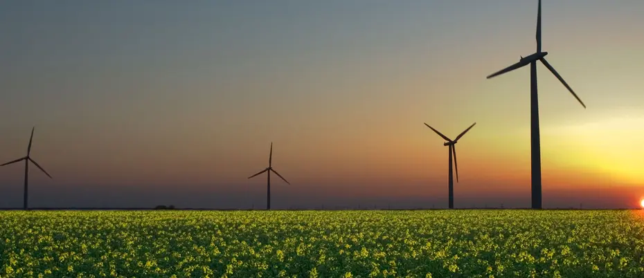 windmills in crop field with sunset