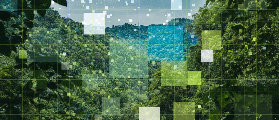 Data squares transposed on a green forest