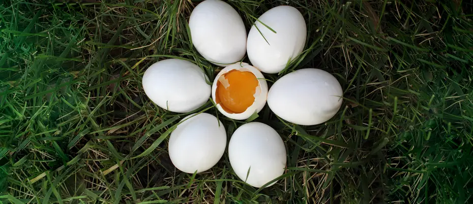 White eggs arranged in a circular pattern like a daisy with the center egg broken with yolk showing