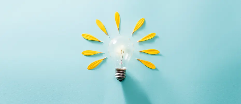 A lightbulb surrounded by flower petals