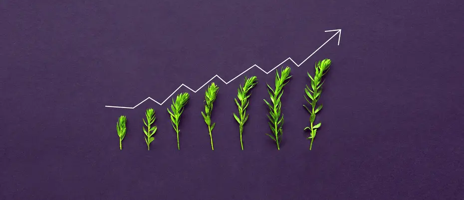 A abstract version of a line graph going up to the right with plants increasing in height