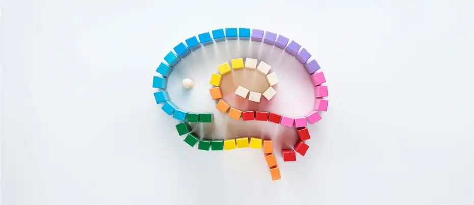 A series of colorful blocks arranged in maze-like shape imitating a brain