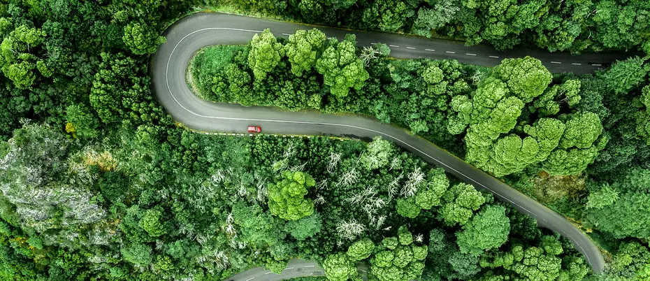 Two cars on a winding "s" shaped road through the forest