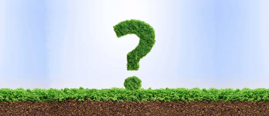 Grass growing in the shape of a question mark symbol