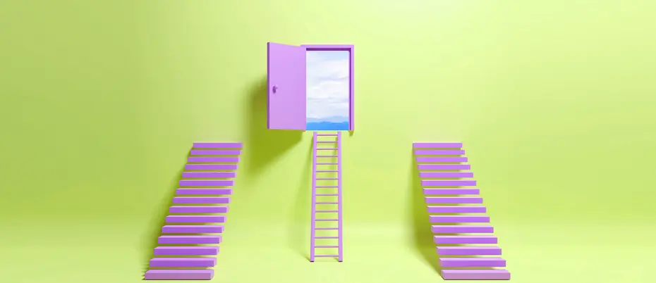Two stairs lead to a wall and a ladder leads to an open door