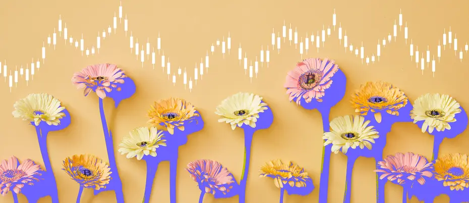 A stock market ticker over a row of daisies with bitcoins in the pistils