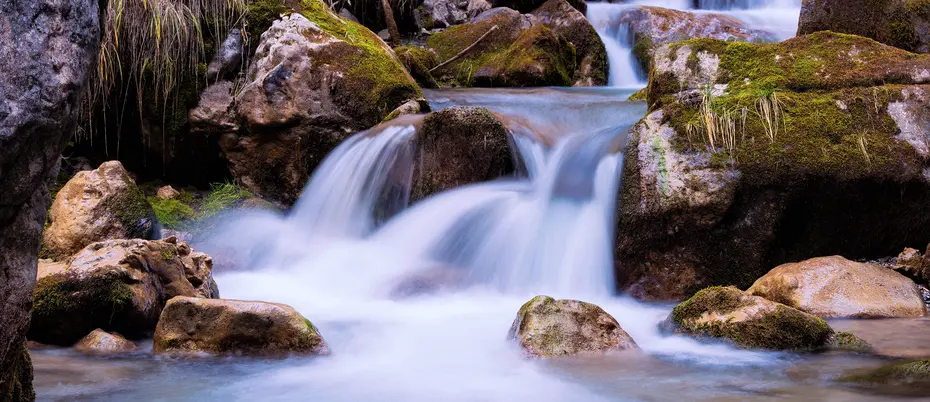 A waterfall stream in the forest