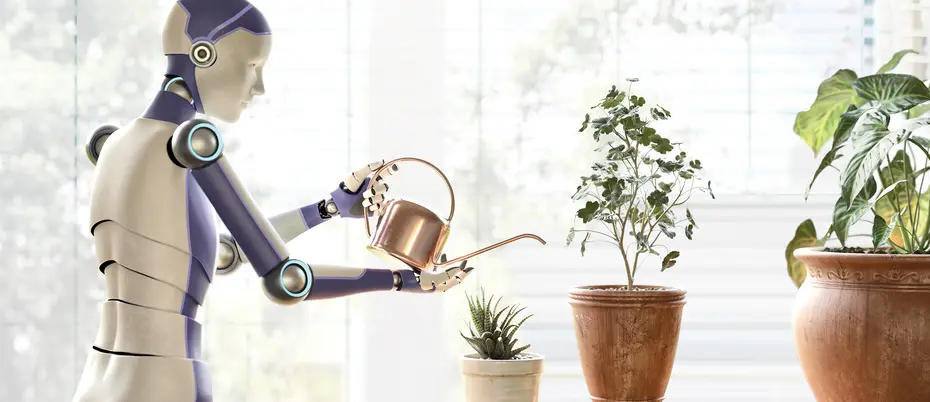 A robot waters house plants