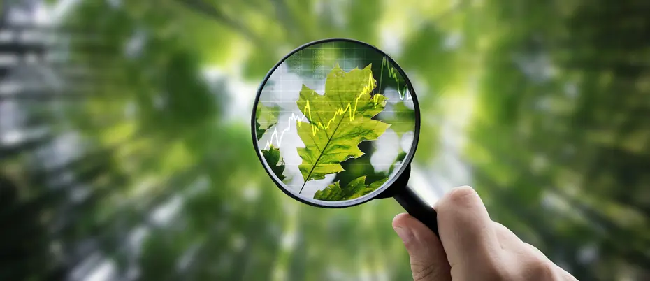 A hand holds a magnifying glass up against a leaf with a stock graph amongst a blurry forest background