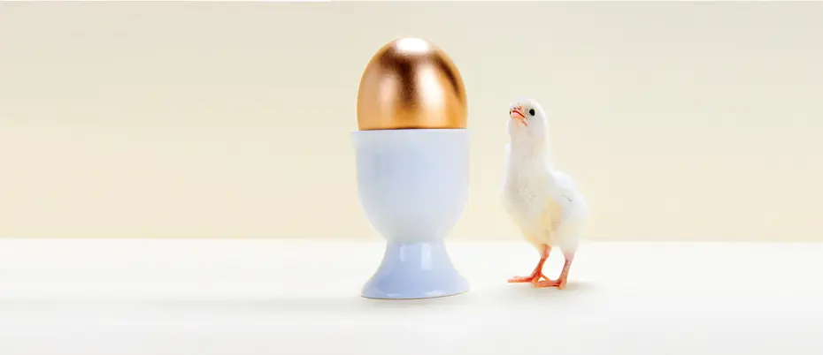 A chick looks up at a big golden egg