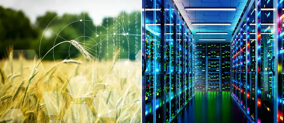 Binary code over a wheat field appears next to a data center