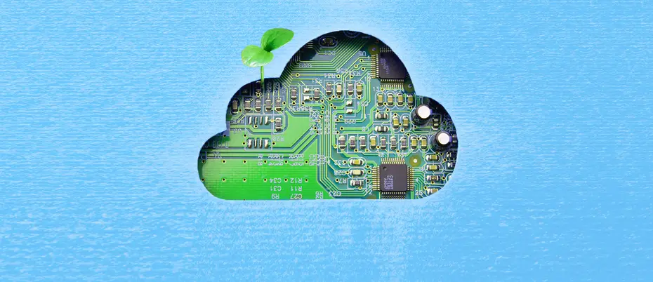 A bud grows on a cloud cutout revealing circuit board content 
