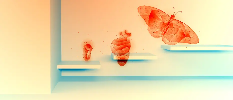 The transformation from a larva into a butterfly