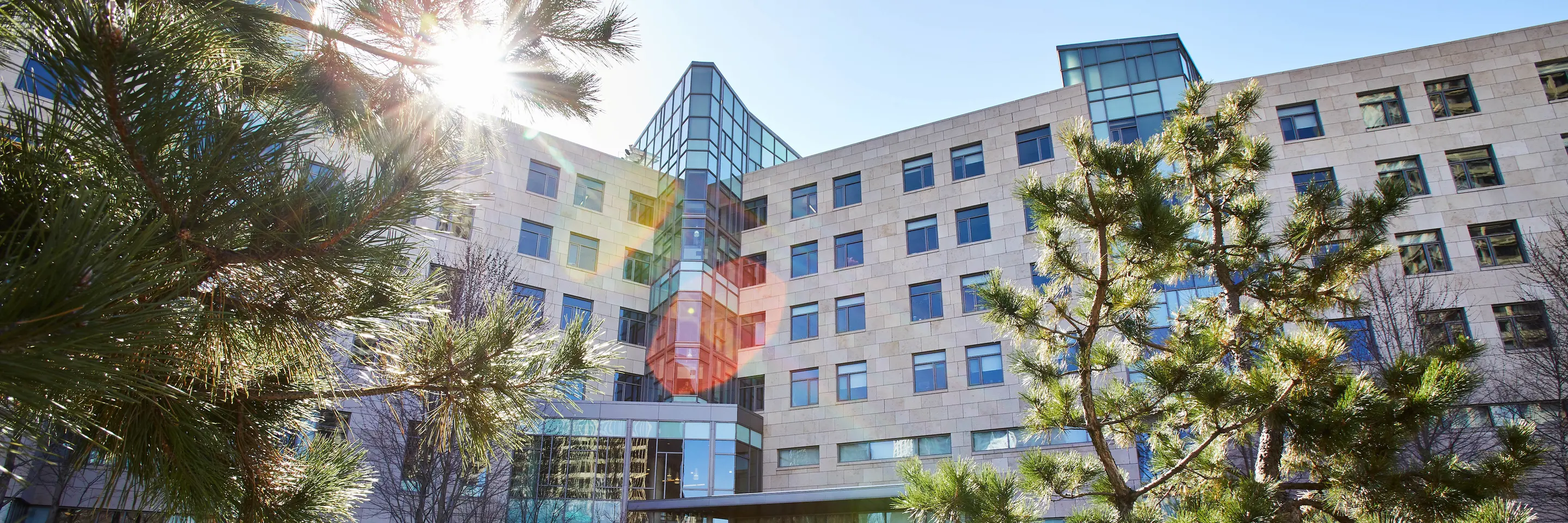 MIT Sloan
