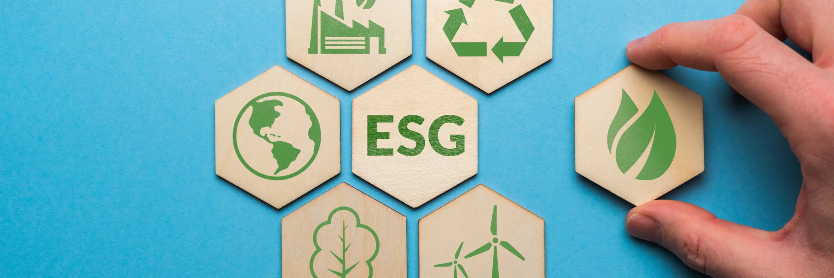 Hand pulling a hexagonal wooden tile away from a group of six other tiles with ESG in the middle