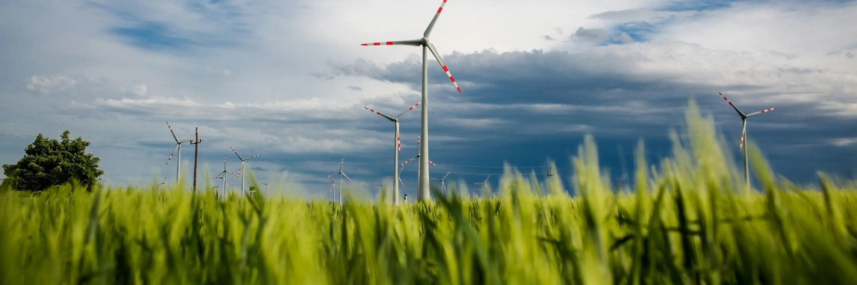 Wind energy landscape