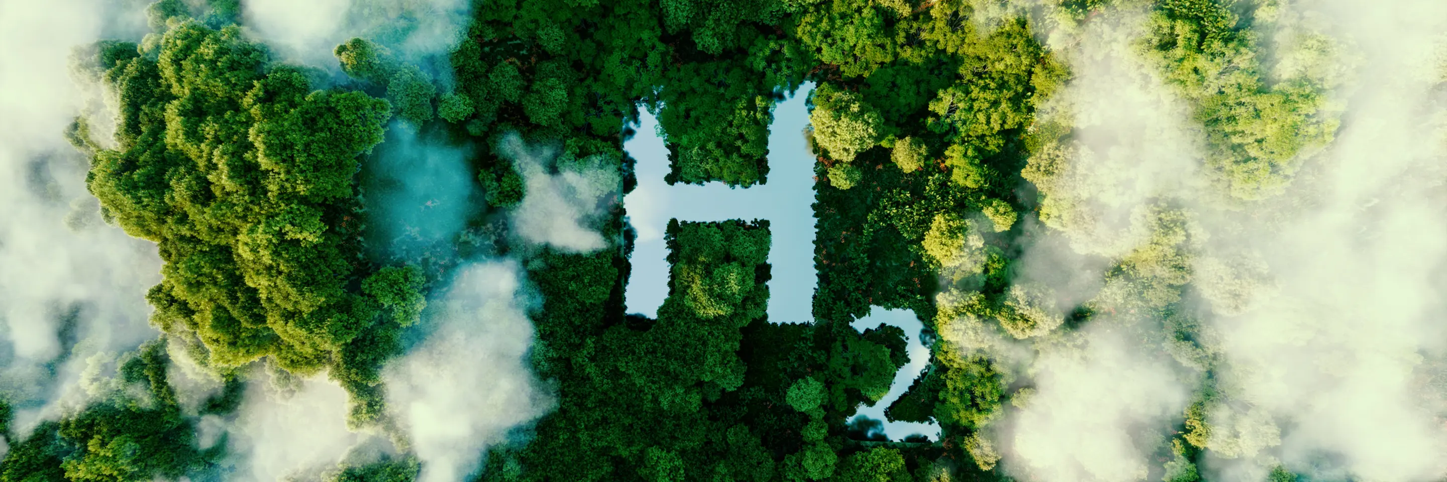 Aerial view of H2 symbol in jungle