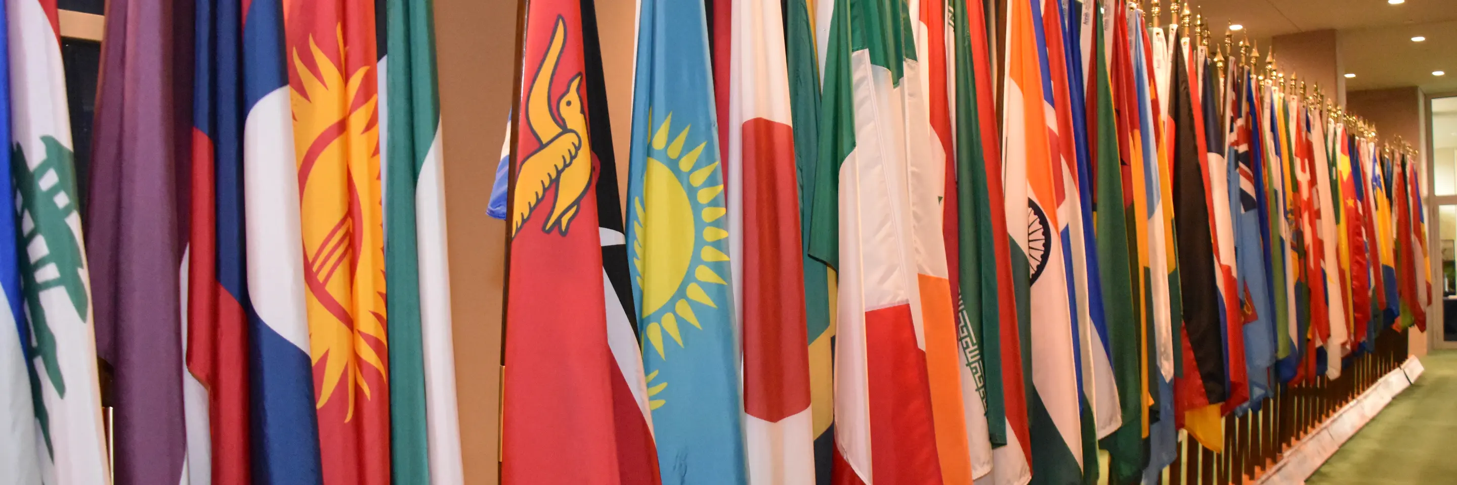 UN Nation Flags