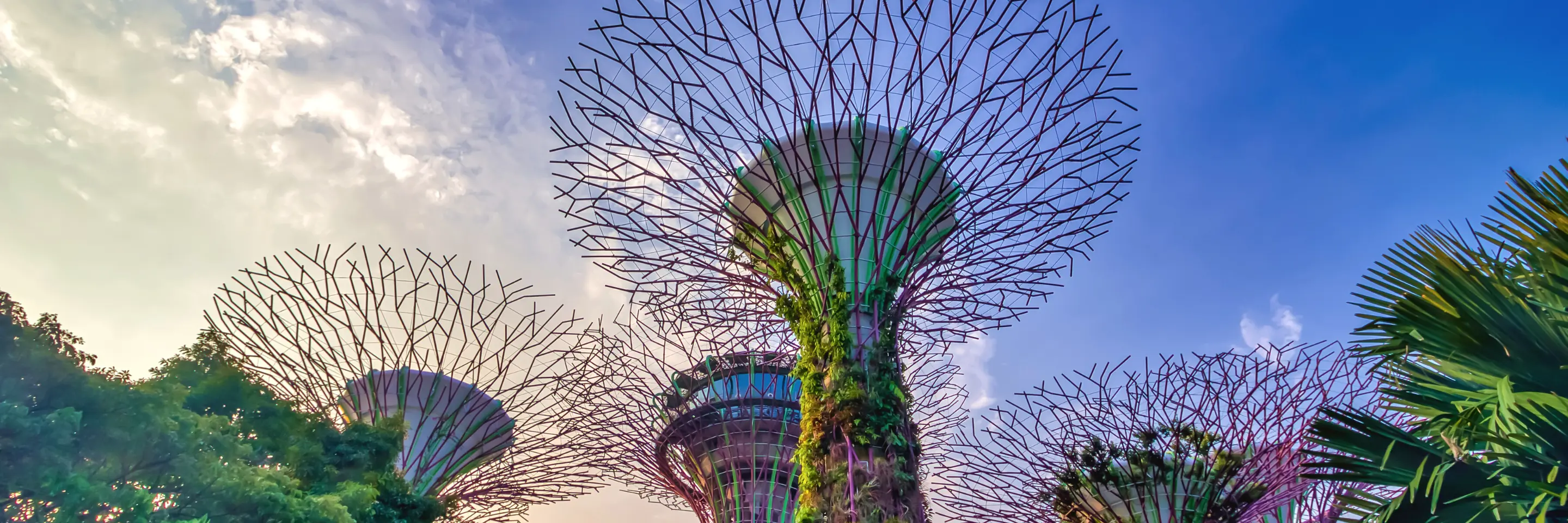 Singapor