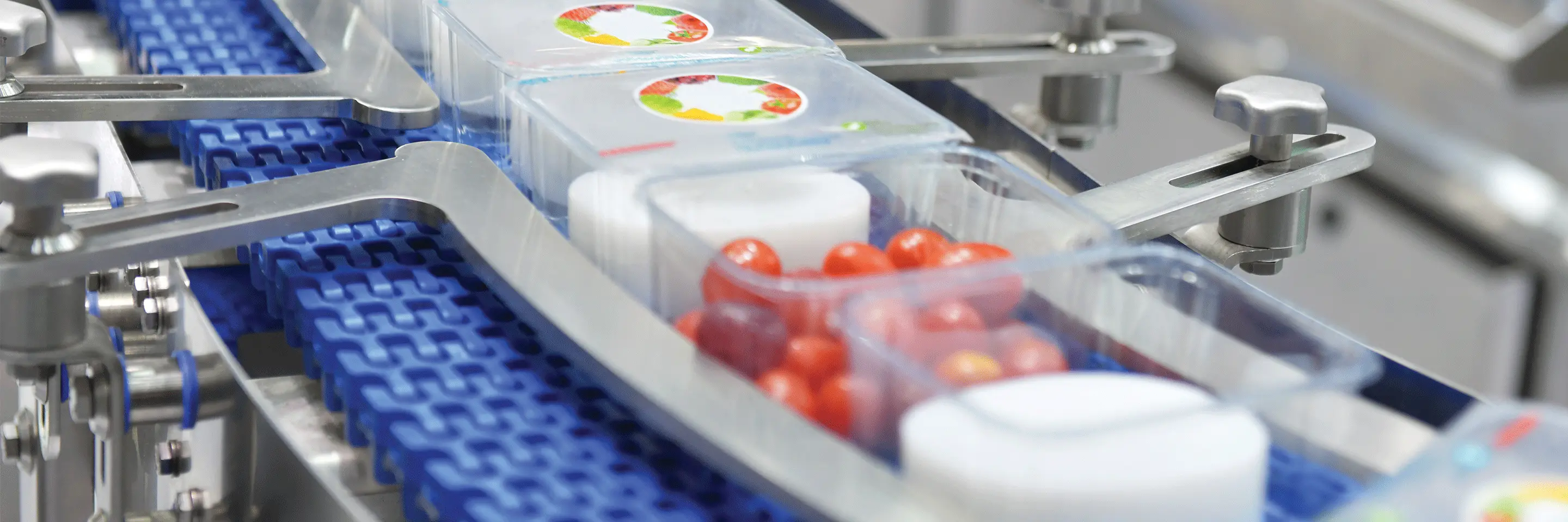 Containers of cherry tomatoes on a conveyor belt