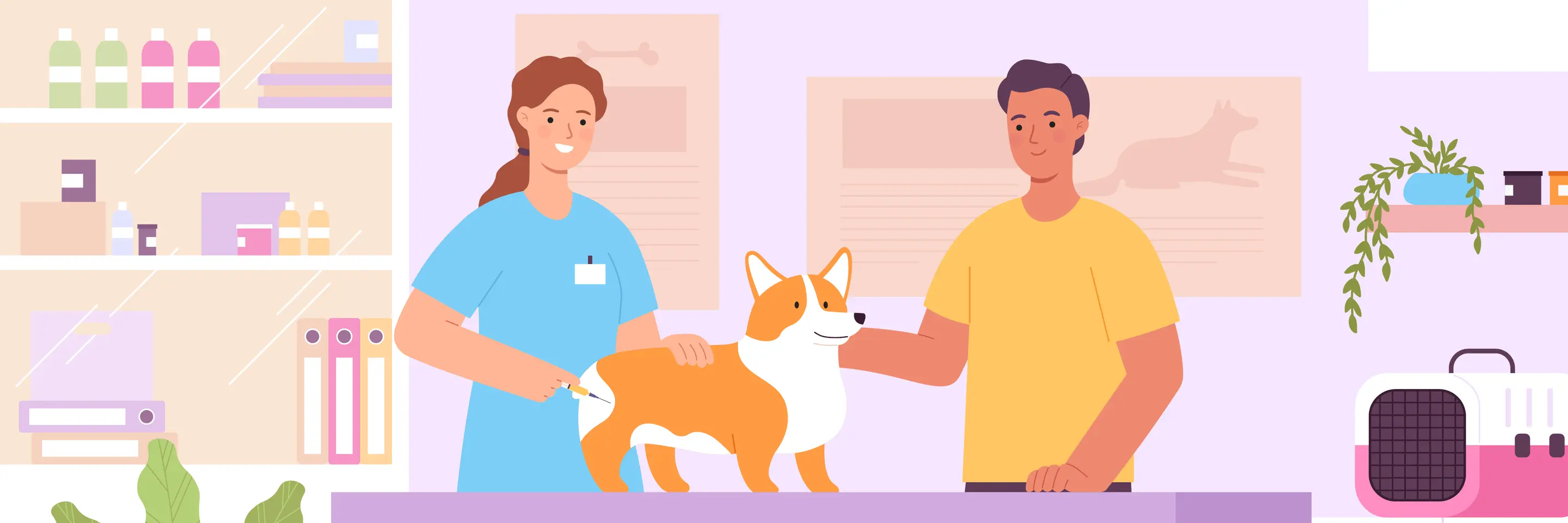 Graphic of veterinarian treating a dog