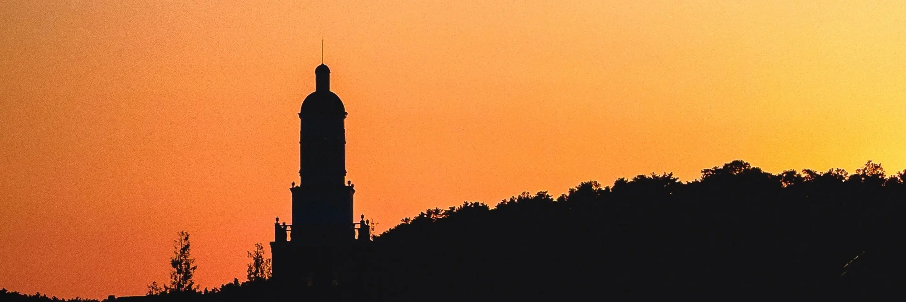 The ivory tower
