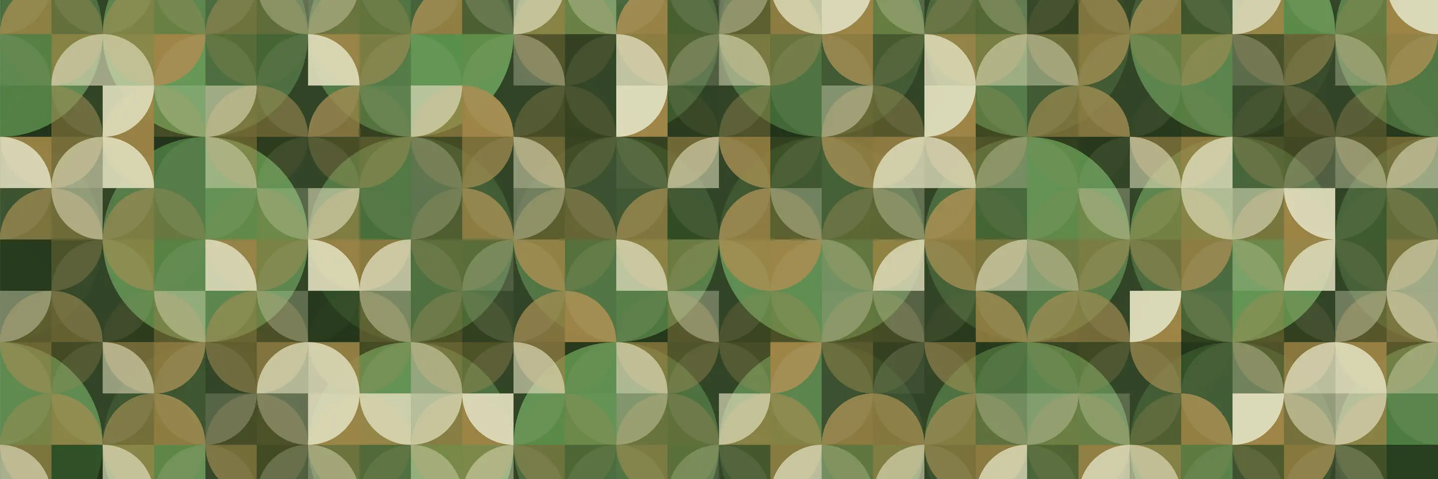 Graphic design of military camouflage
