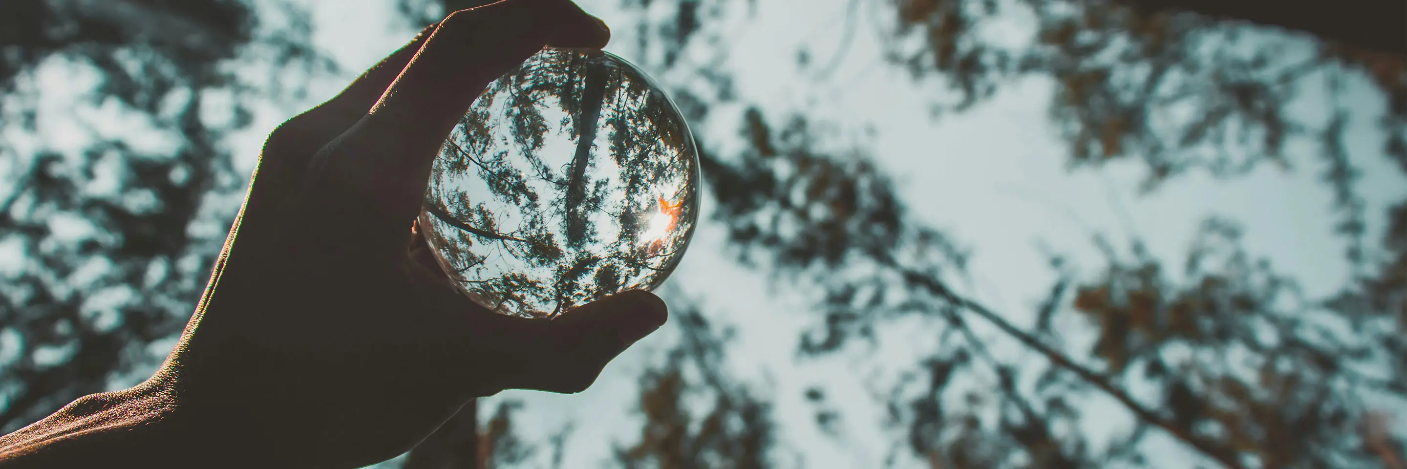 A hand holds a crystal ball to peer through the trees