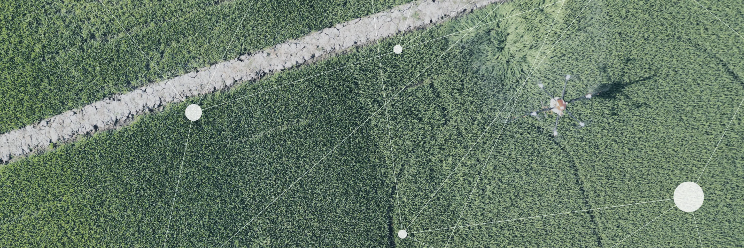 overhead image of a plot of agriculture 