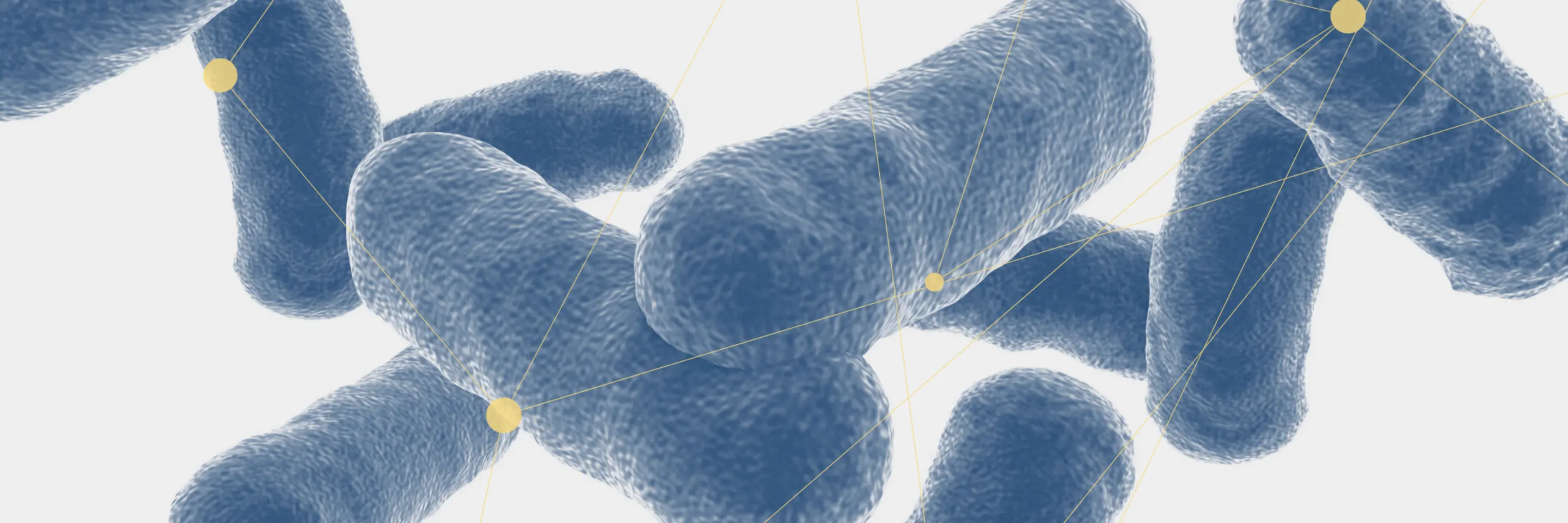 microscopic bacteria 