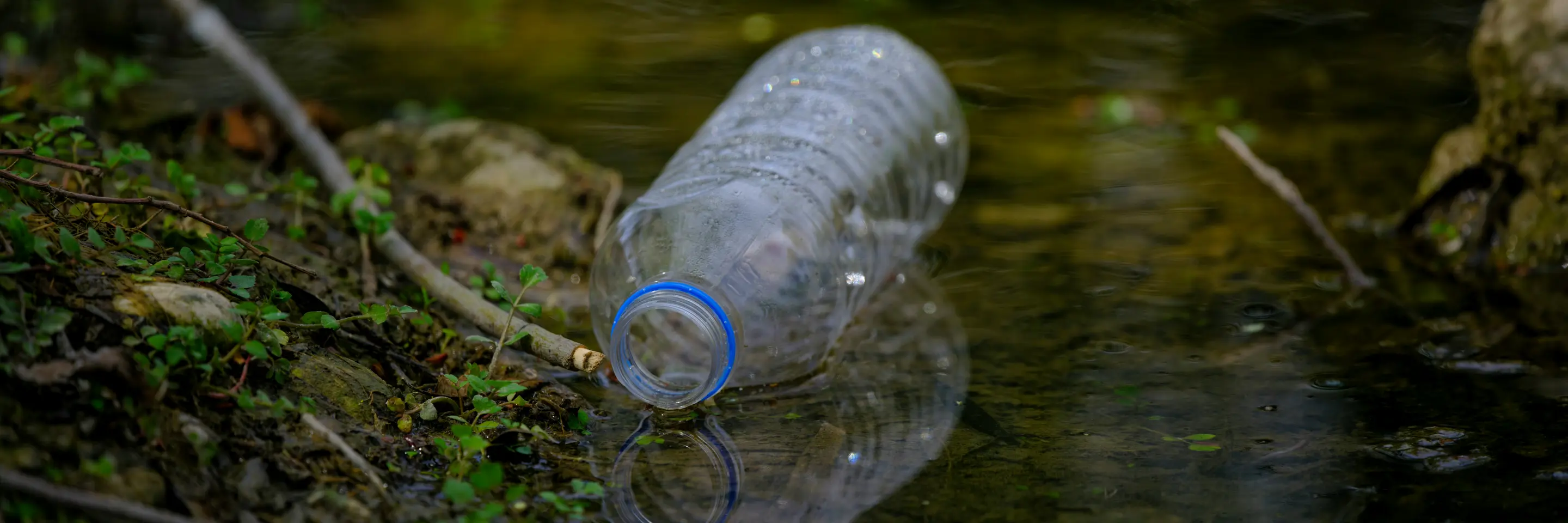 Water bottle floating in dark forested creek