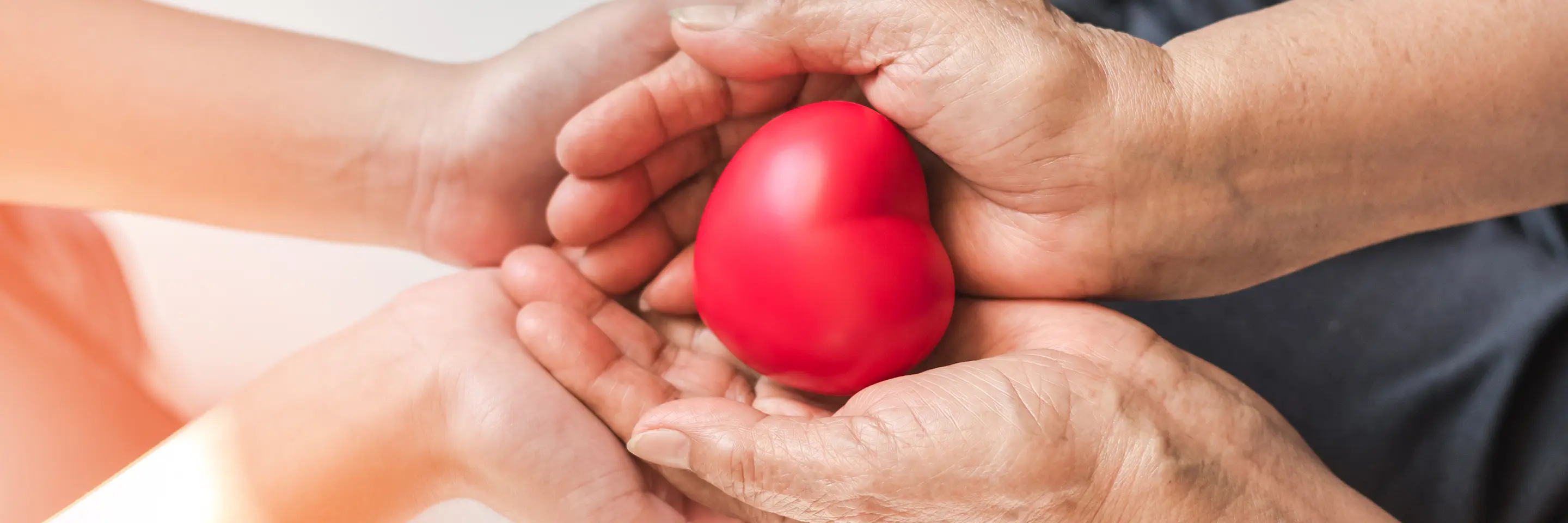 Two pairs of hands holding a red heart